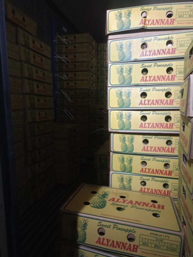 Alyannah sweet pineapple cartons stacked inside a shipping container