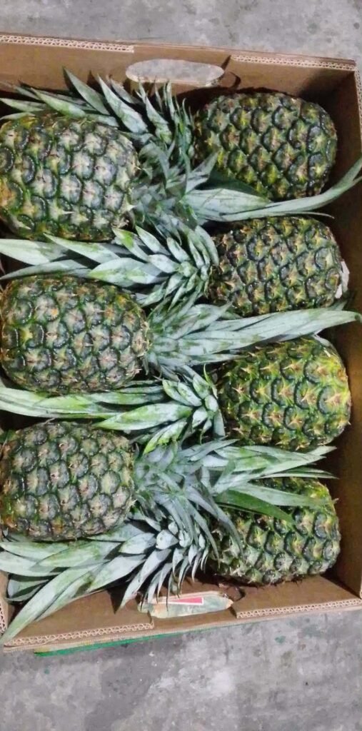 Pineapples arranged head to tail in an open cardboard carton