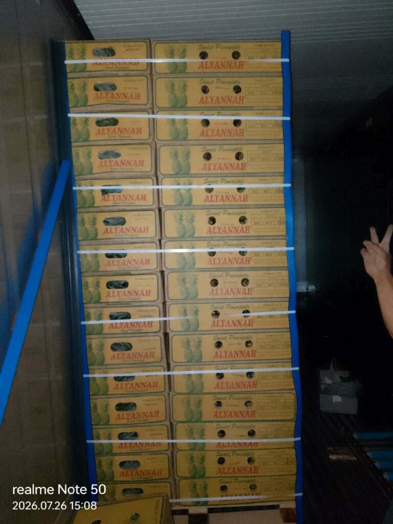 Strapped pallet of Alyannah pineapple cartons inside a container