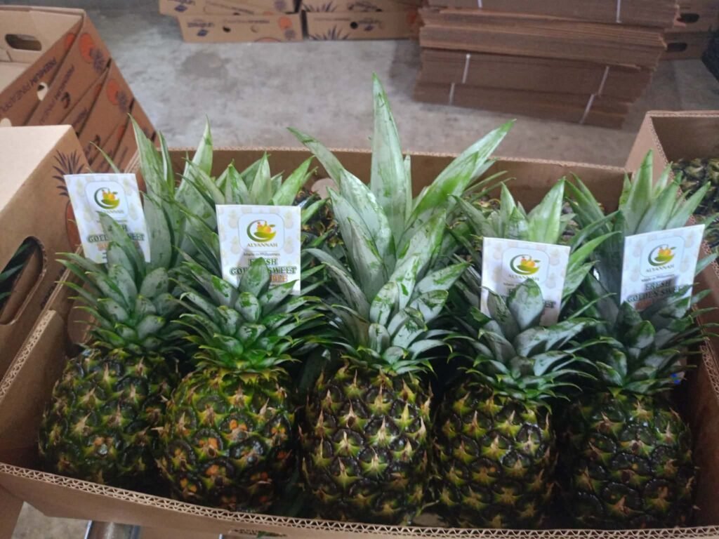 Alyannah-labelled pineapples with leafy crowns in an open carton