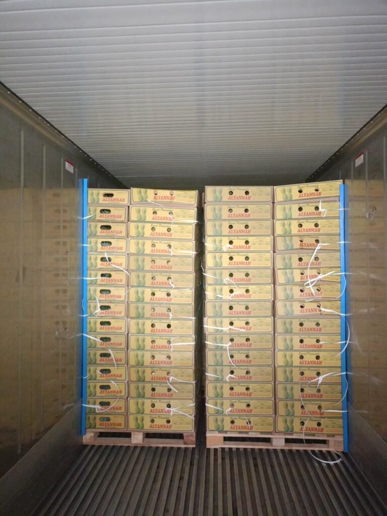 Two strapped pallets of Alyannah pineapple cartons inside a shipping container