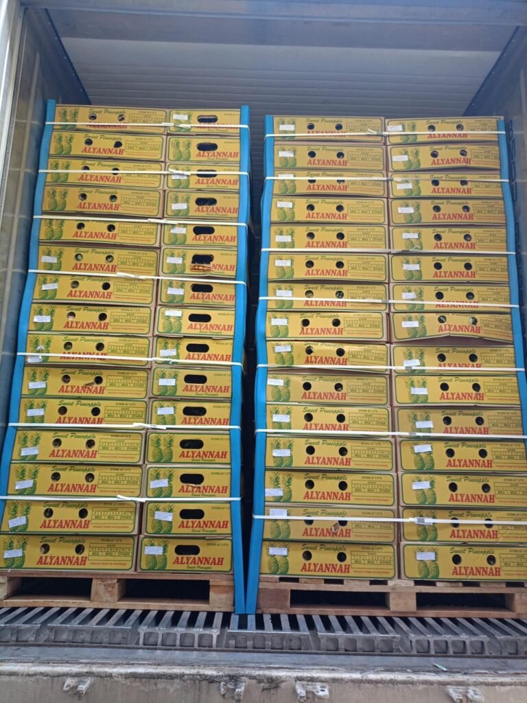 Pallets of Alyannah pineapple boxes secured with straps for shipment